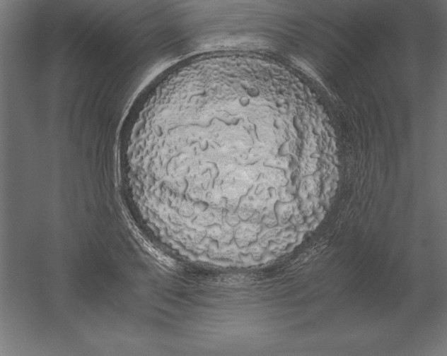 X0000060261079200511241421