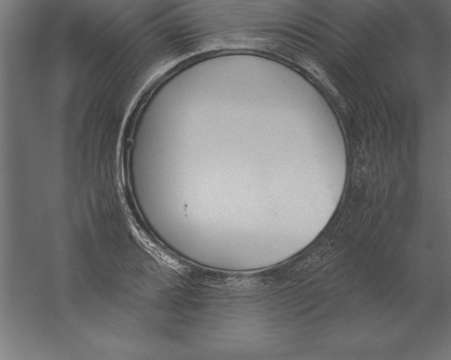 X0000060261080200511241421