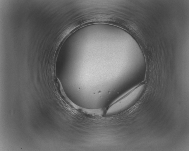 X0000060261081200511241421