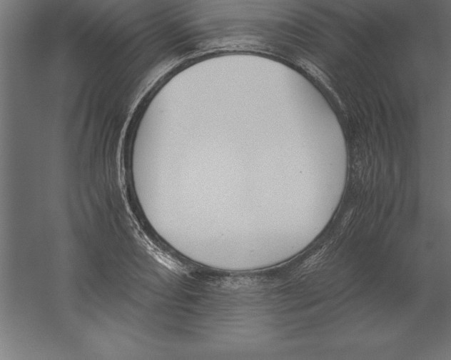 X0000060261082200511241421