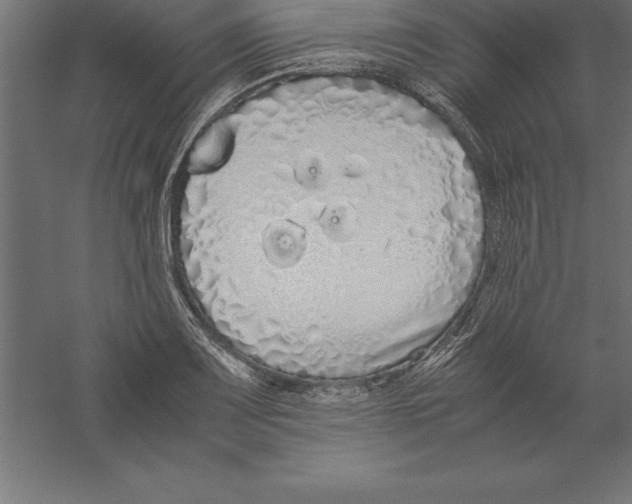 X0000060261083200511241421