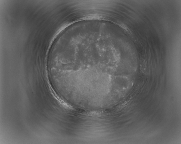 X0000060261086200511241421