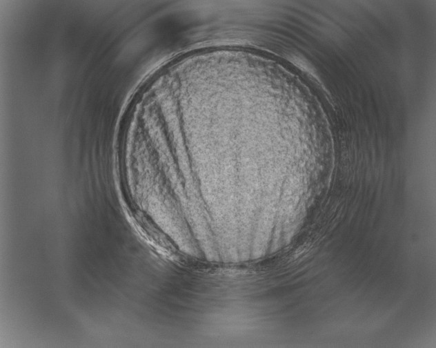 X0000060261088200511241421