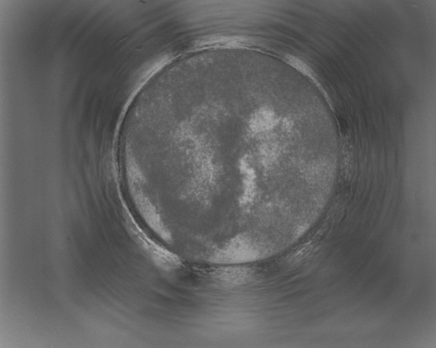 X0000060261090200511241421