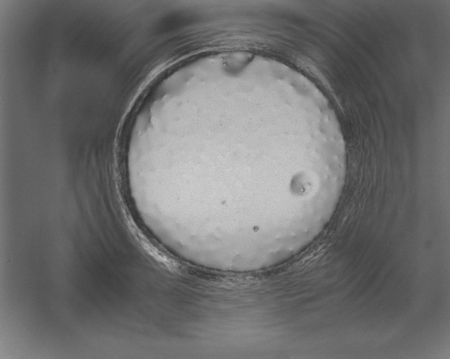 X0000060261091200511241421