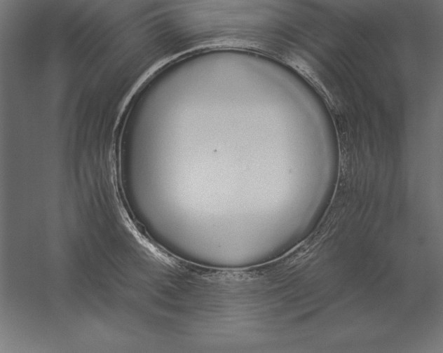 X0000060261092200511241421