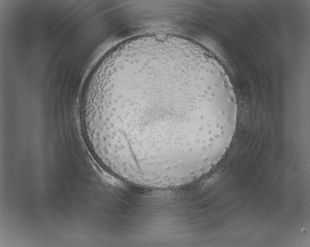 X0000060261094200511241421