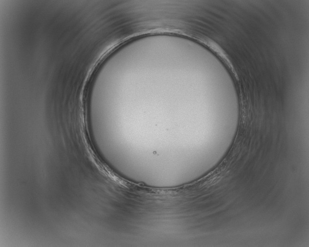 X0000060261096200511241421