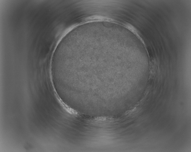 X0000060261098200511241421