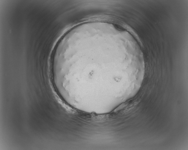 X0000060261099200511241421