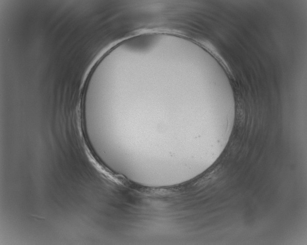 X0000060261100200511241421