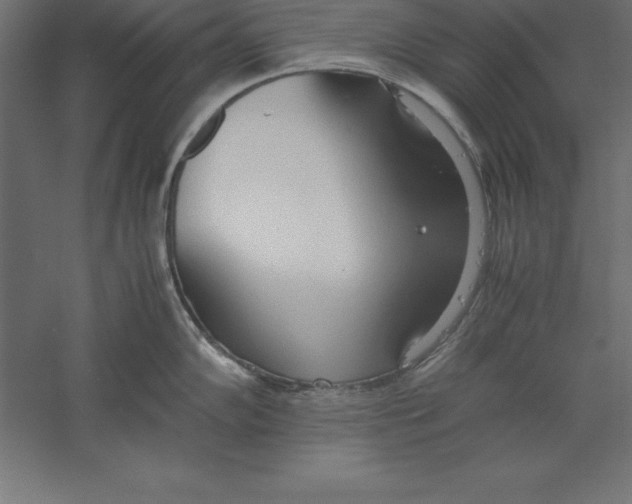 X0000060261102200511241421