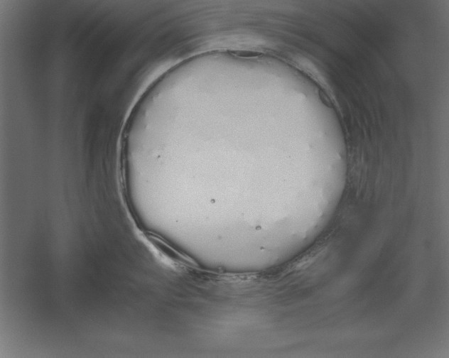 X0000060261103200511241421