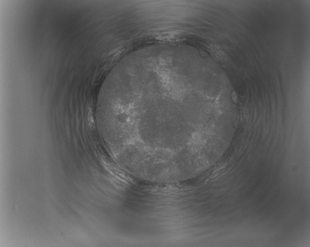 X0000060261106200511241420