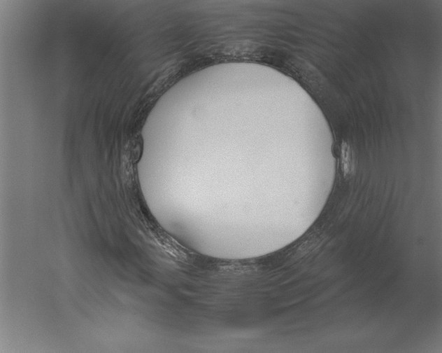 X0000060261107200511241420