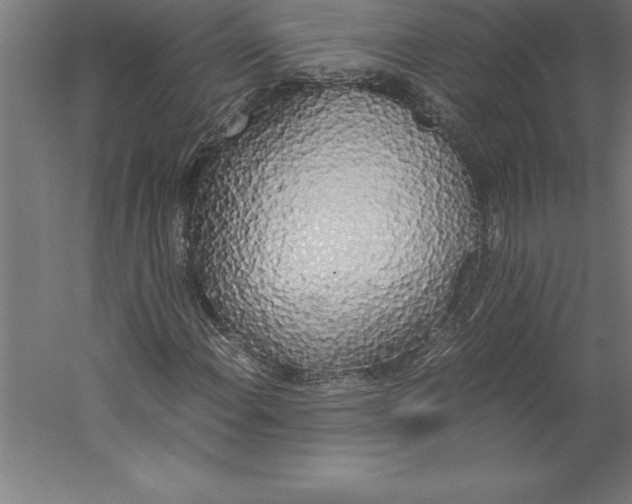 X0000060261108200511241420