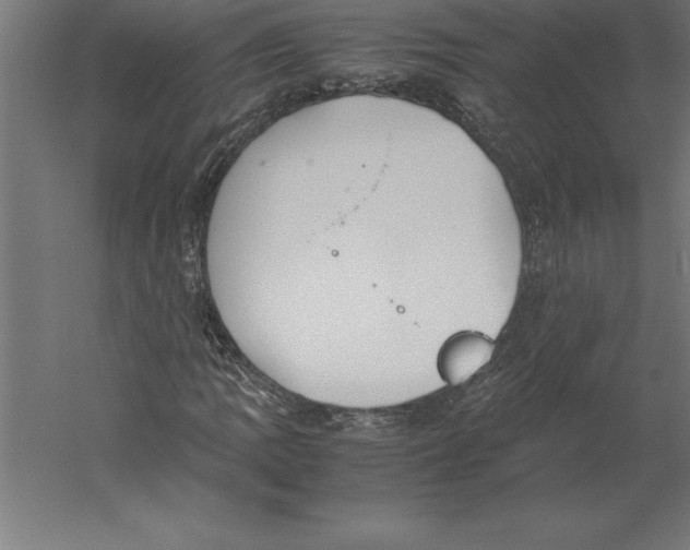 X0000060261109200511241420