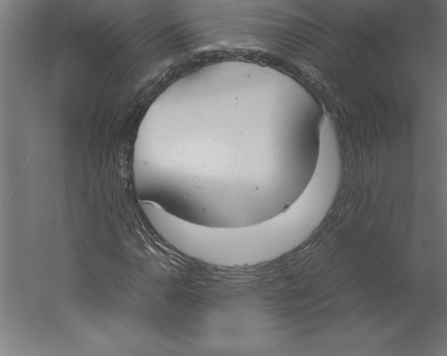 X0000060261110200511241420