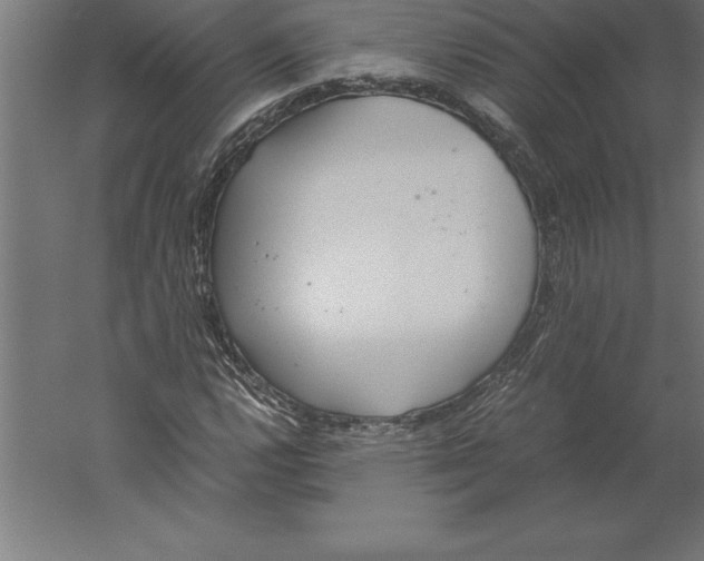 X0000060261112200511241420