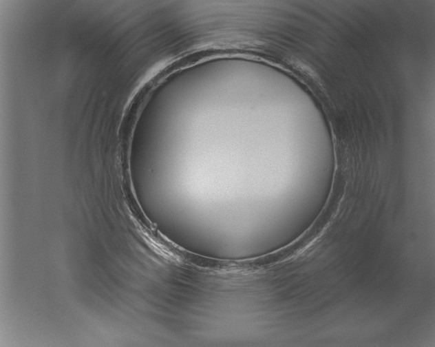 X0000060261114200511241420