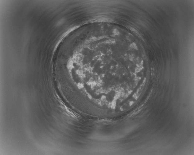 X0000060261117200511241420