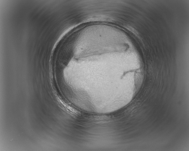 X0000060261120200511241420