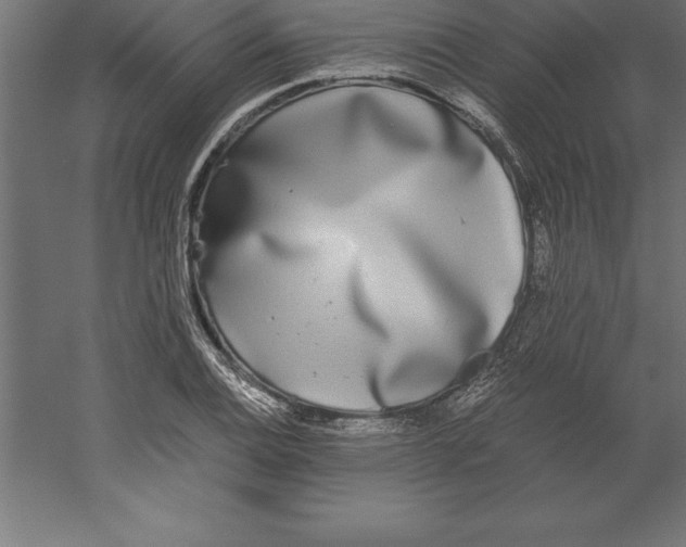 X0000060261124200511241420