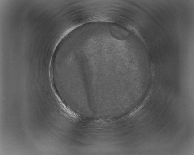 X0000060261125200511241420