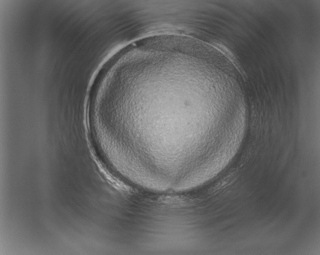 X0000060261128200511241420