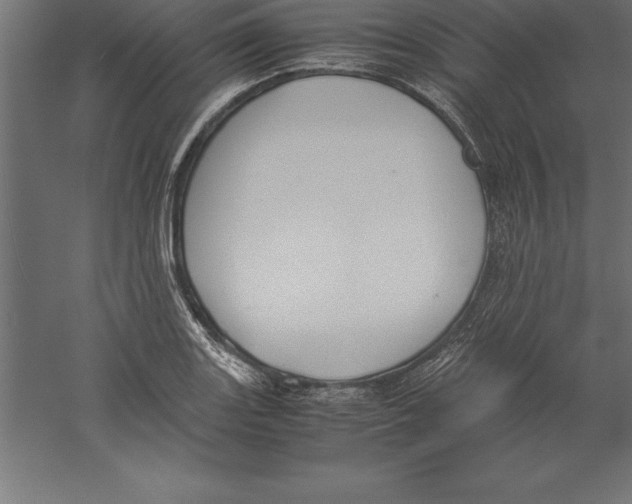 X0000060261131200511241420