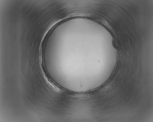 X0000060261132200511241420