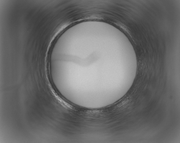 X0000060261135200511241420