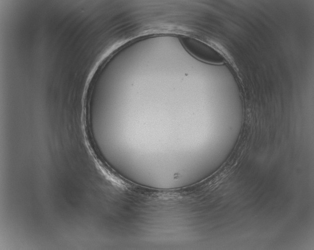 X0000060261136200511241420