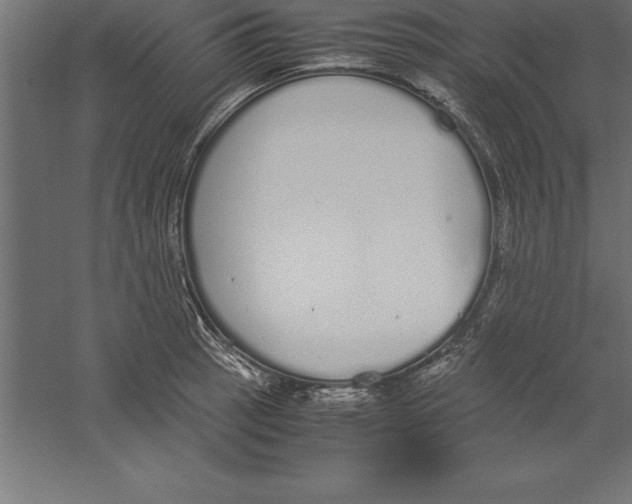 X0000060261137200511241420