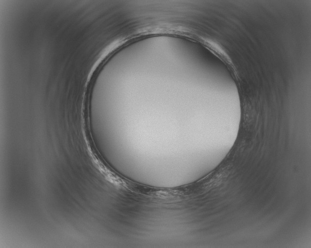 X0000060261138200511241420