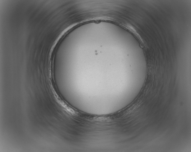 X0000060261140200511241420