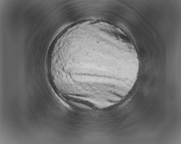 X0000060261141200511241420