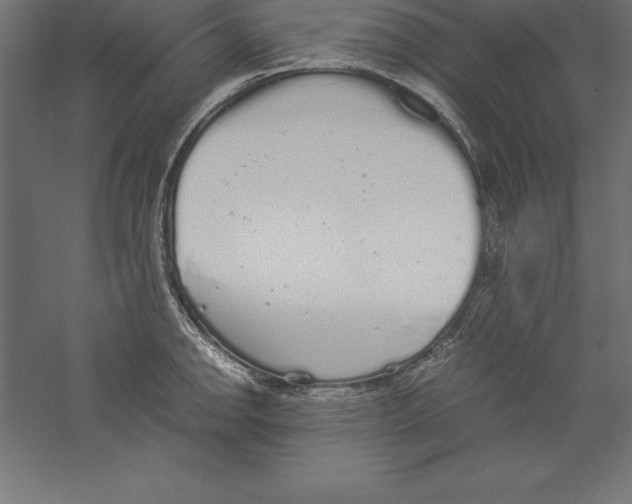 X0000060261142200511241420