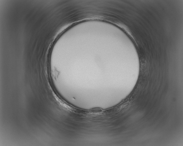 X0000060261143200511241420