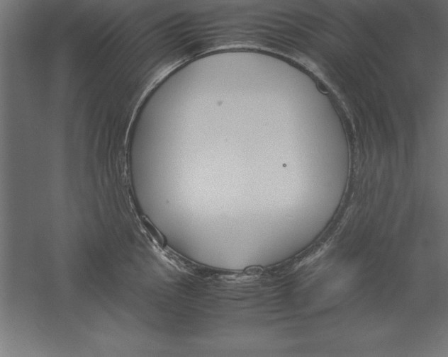 X0000060261145200511241420