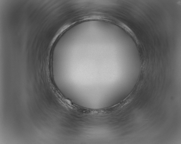 X0000060261146200511241420