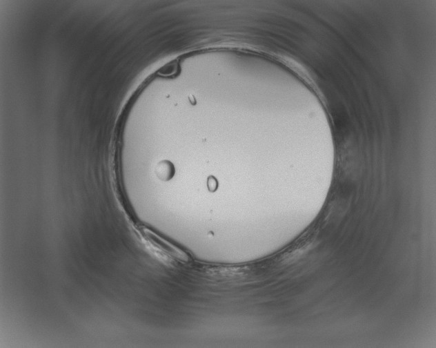 X0000060261149200511241421