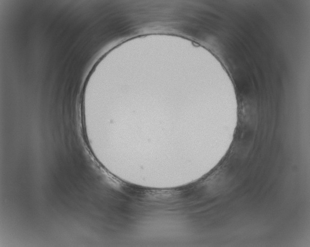 X0000060261150200511241421