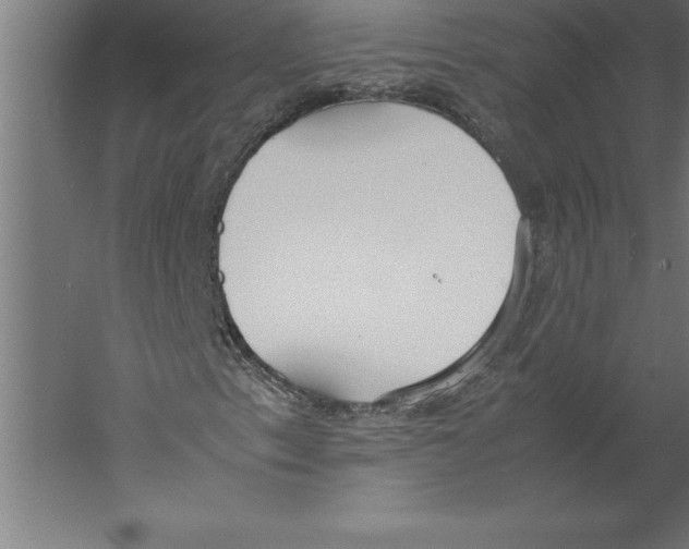 X0000060261153200511241420