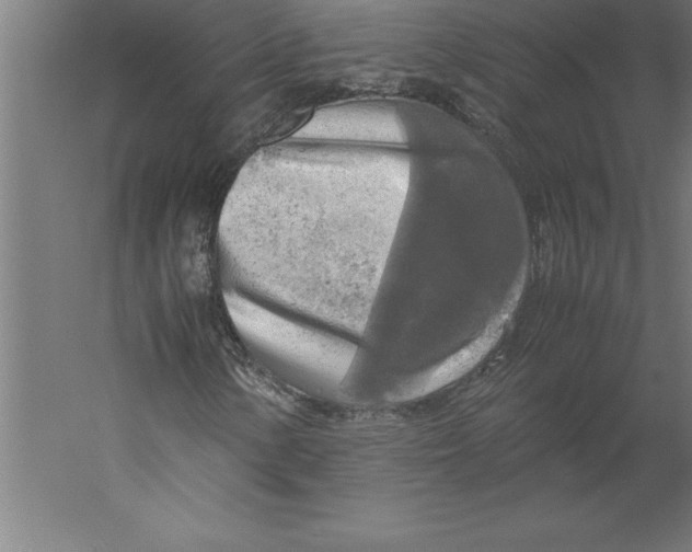 X0000060261154200511241420