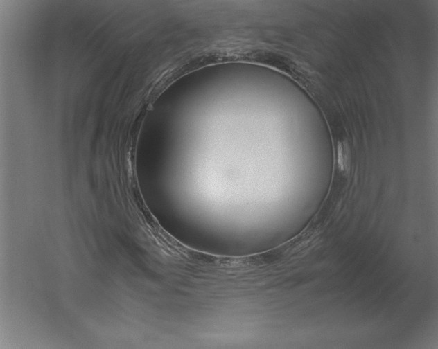 X0000060261155200511241420