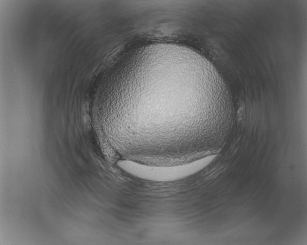 X0000060261156200511241420