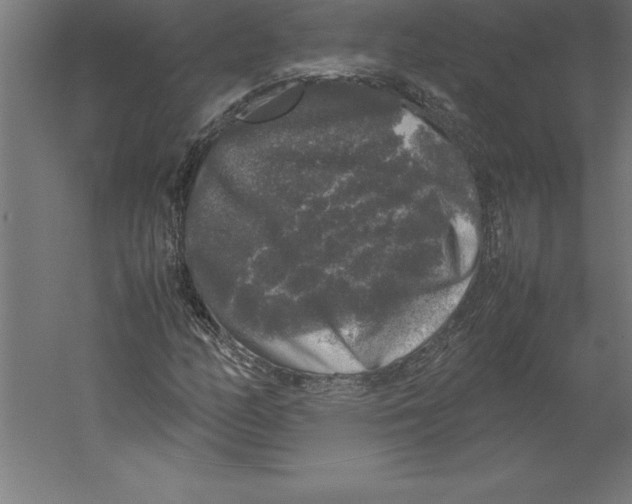 X0000060261158200511241420