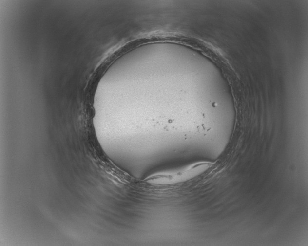 X0000060261160200511241420