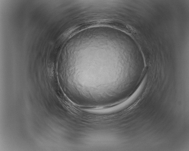 X0000060261161200511241420